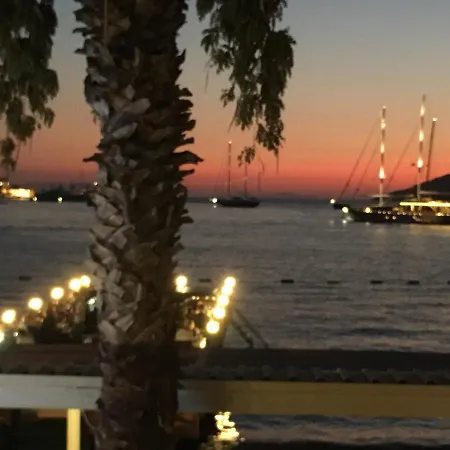 Nomia Boutique יאליקאבאק