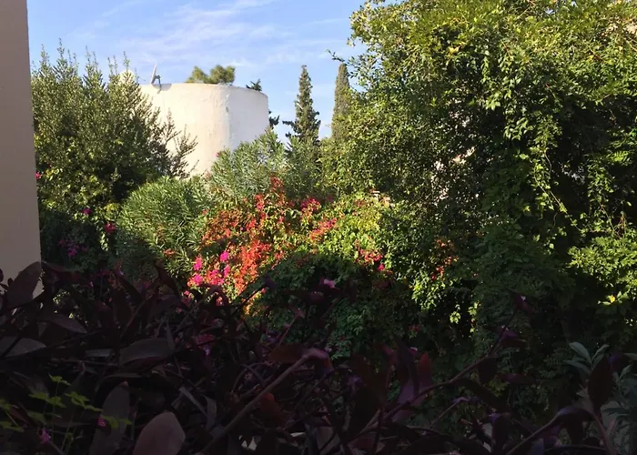 Nomia Boutique ホテル