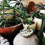 Hotel Nomia Boutique