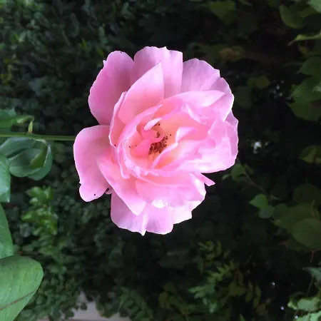 Hotel Nomia Boutique