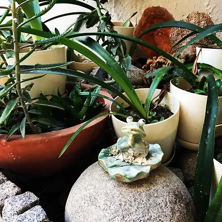 ホテル Nomia Boutique