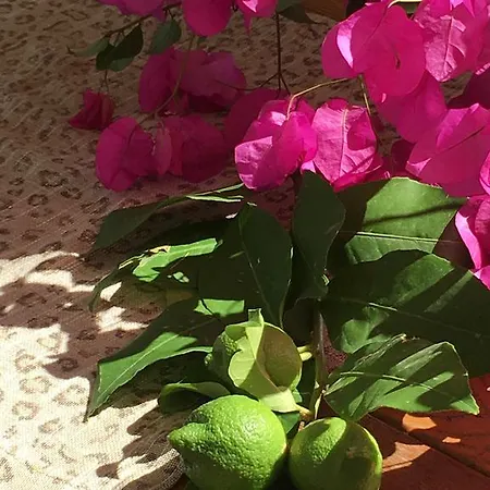 Ξενοδοχείο Nomia Boutique 3*
