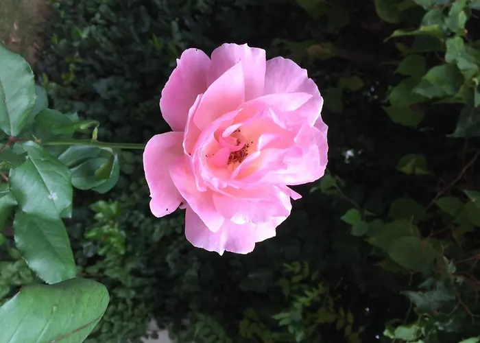 Hotel Nomia Boutique