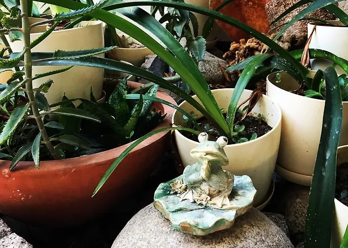 Hotel Nomia Boutique