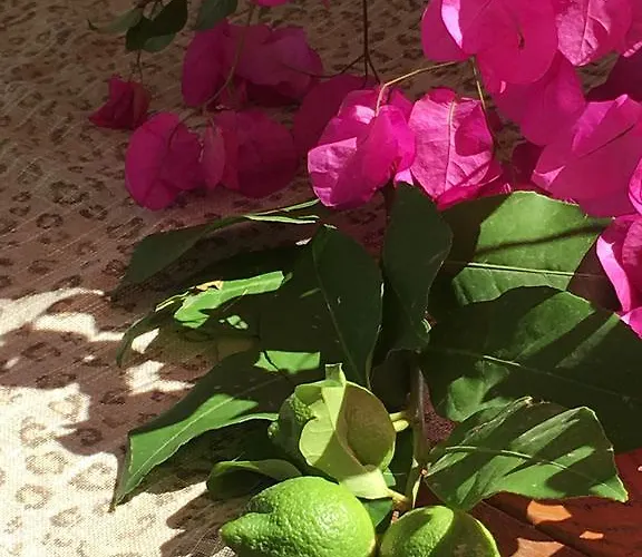 Hotel Nomia Boutique 3*